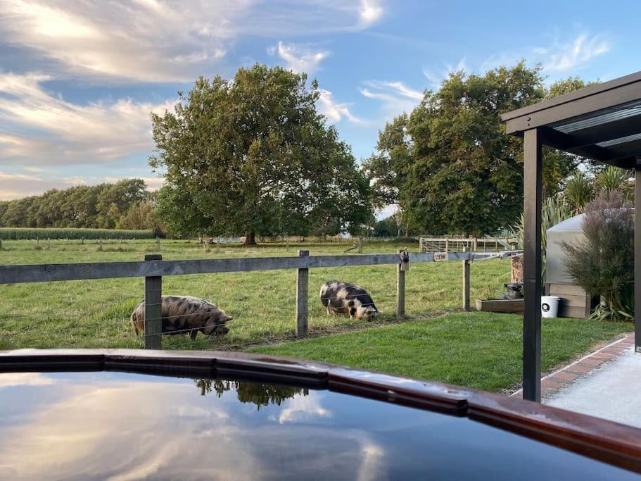 Lyeinn - Newstead Country Retreat Eksteriør bilde